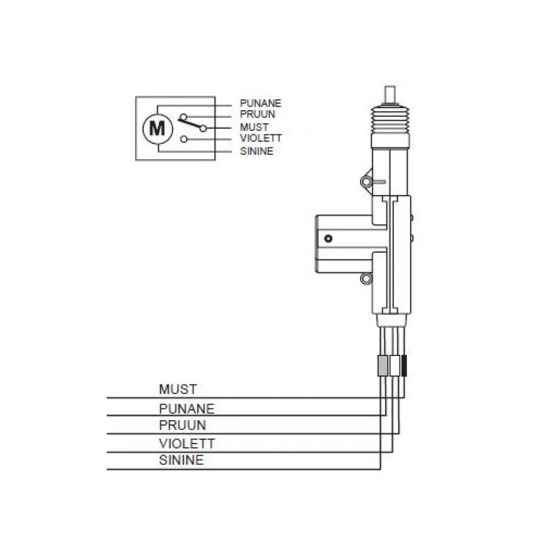 Wiring Diagram For Door Lock Actuators